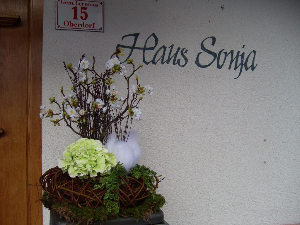 莱尔莫斯Haus Sonja公寓 外观 照片